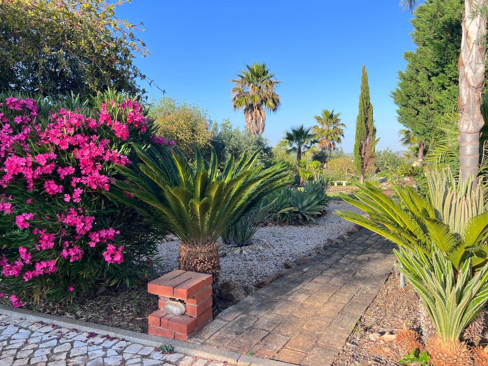 Vila Relaxmountain B&B Sao Bartolomeu de Messines Luaran gambar